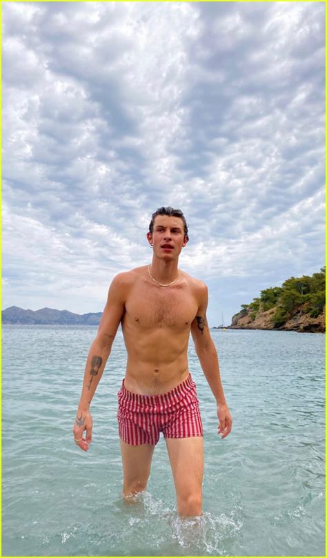 shawn mendez naked|Shawn Mendes sends fans wild as hes spotted naked sledging。